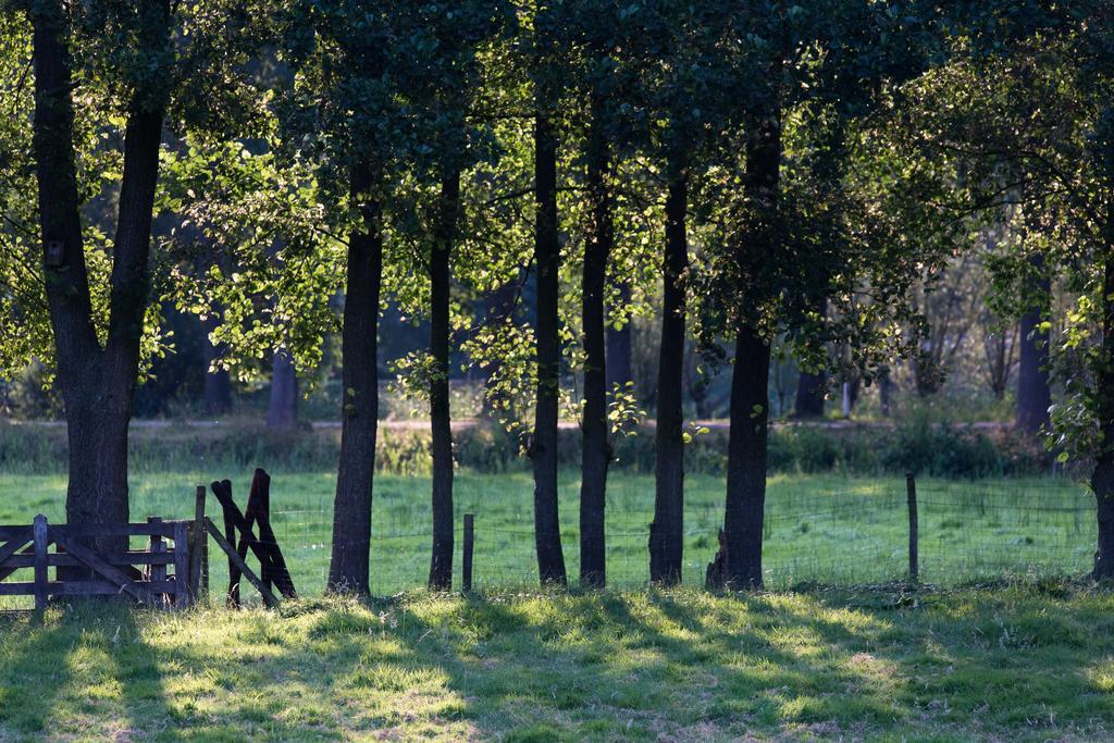 Blier Herne Gorredijk Exterior foto